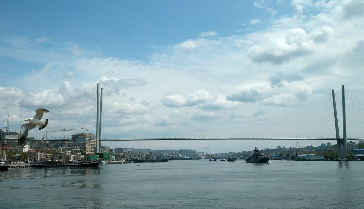 Морской парад во Владивостоке 9 мая 2015 года