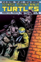 Teenage Mutant Ninja Turtles Vol. 9: Monsters, Misfits, and Madmen