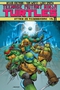 Teenage Mutant Ninja Turtles Vol. 11: Attack on Technodrome