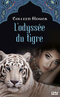 L'odyssée du Tigre