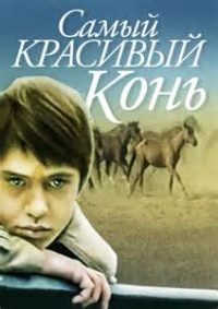 «Самый красивый конь»