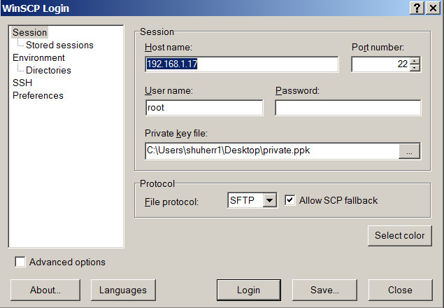 Session host. Протокол file. WINSCP Интерфейс. WINSCP.
