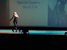 Black Cat