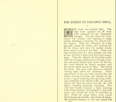 Улица Первого Снаряда 1895