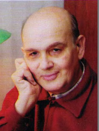 В. Плужникова