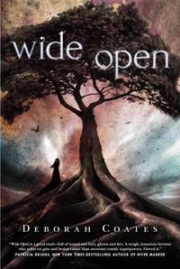 «Wide Open»