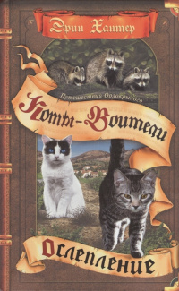 &laquo;Ослепление. Путешествия Орлокрылого&raquo;