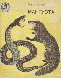 Юлия Нова орыс порно