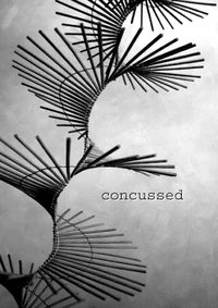 «Concussed»