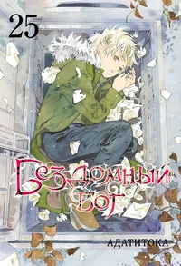 «Бездомный Бог. Том 25»