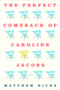 The Perfect Comeback of Caroline Jacobs: A Novel