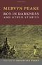 Boy in Darkness and Other Stories