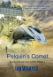 Pelquin's Comet