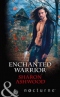 Enchanted Warrior