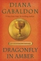 Dragonfly in Amber