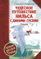 Чудесное путешествие Нильса с дикими гусями. Сказки