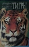 Медведи. Тигры