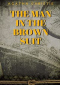 The Man in the Brown Suit