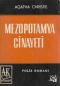 Mezopotamya cinayeti