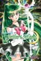 Pretty Guardian Sailor Moon 9