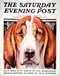 The Saturday Evening Post, Vol. 209, No. 31 (January 30, 1937)