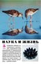 Наука и жизнь № 5 2025