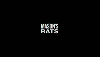 «Крысы Мейсона»