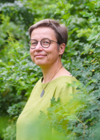 Майма Гринберга